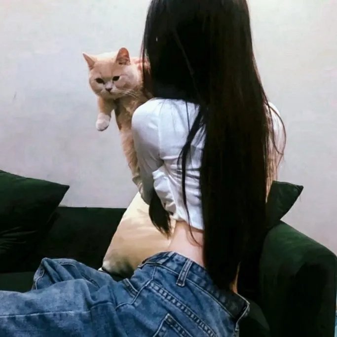 冷案